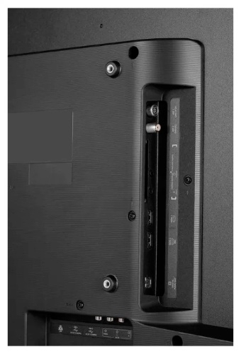 Без названия (12)