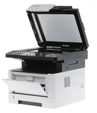 439137555
