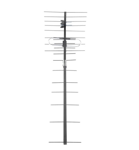 239103537