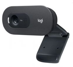 Веб/камера Logitech C505 (960-001364)
