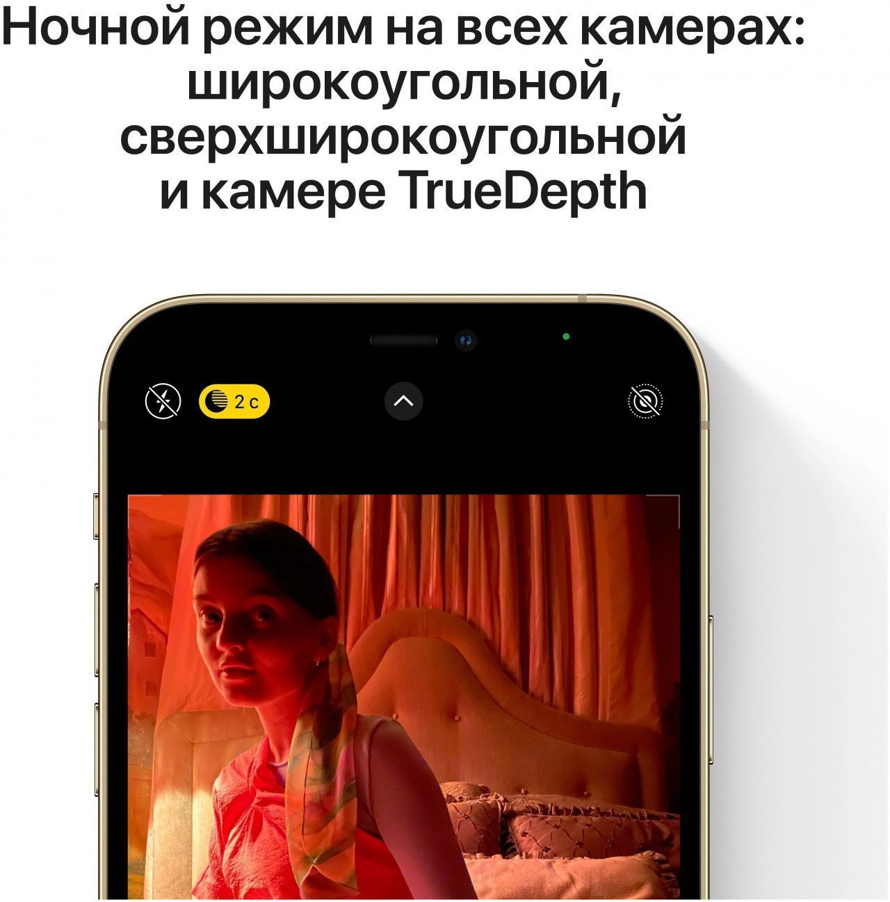 Смартфон Apple IPhone 12 Pro Max 256Gb Graphit* — купить в Калининграде по  выгодной цене | «UIMA»