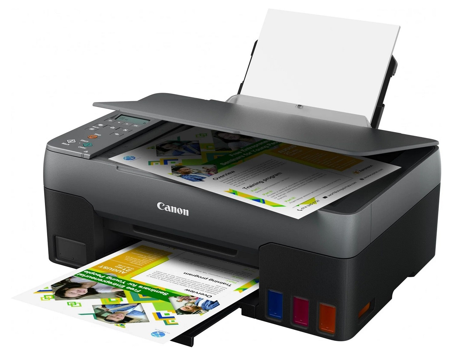 439134077