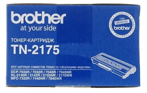 239100304