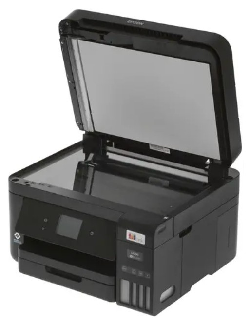 339135086