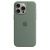 Чехол Apple iPhone 15 Pro Max Silicone Case with MagSafe - Cypress MT1X3