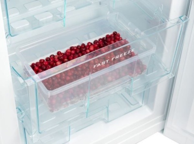Холодильник Snaige RF30SM S0002G