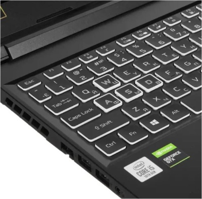 Ноутбук Acer Nitro 5 AN515-55-568E 15.6/FHD/i5-10300H/8Gb//SSD1024GB/noODD/GTX1660Ti 6GB/WiFi/BT/Endless OS (NH.Q7PER.007)