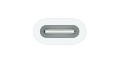 Адаптер-переходник USB-C - Apple Pencil белый Apple (MQLU3ZM/A)
