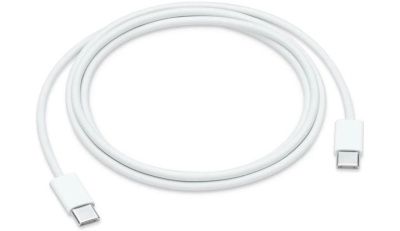 Кабель USB Type-C - USB Type-C белый 1м Apple (MM093ZM/A)