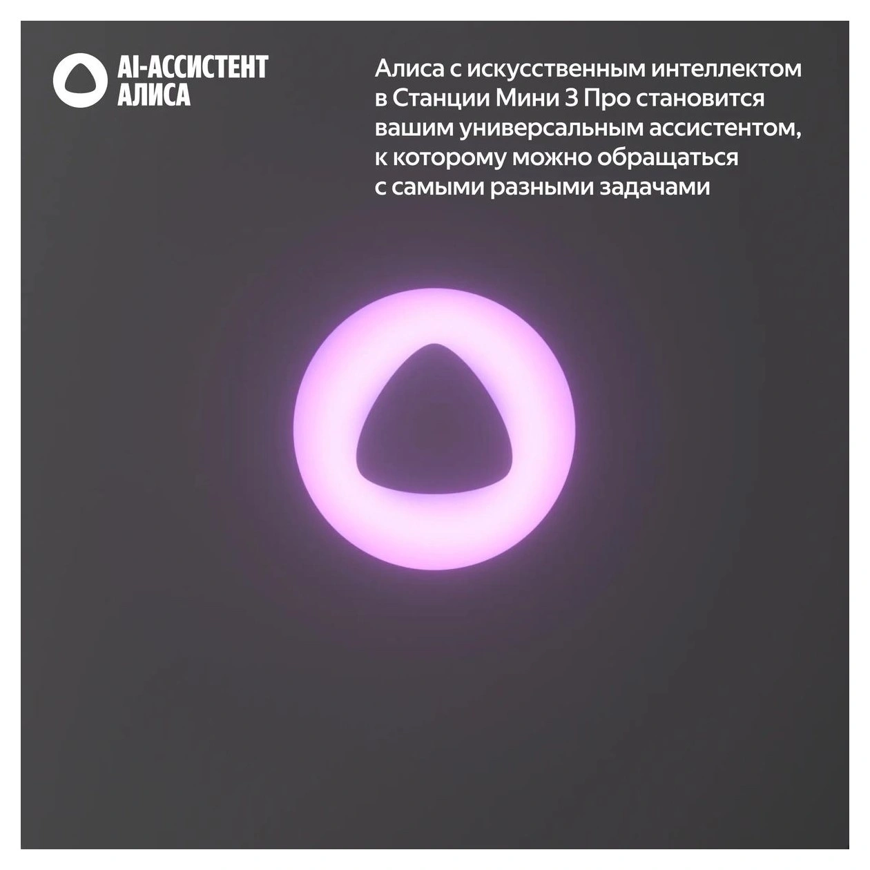 439146885