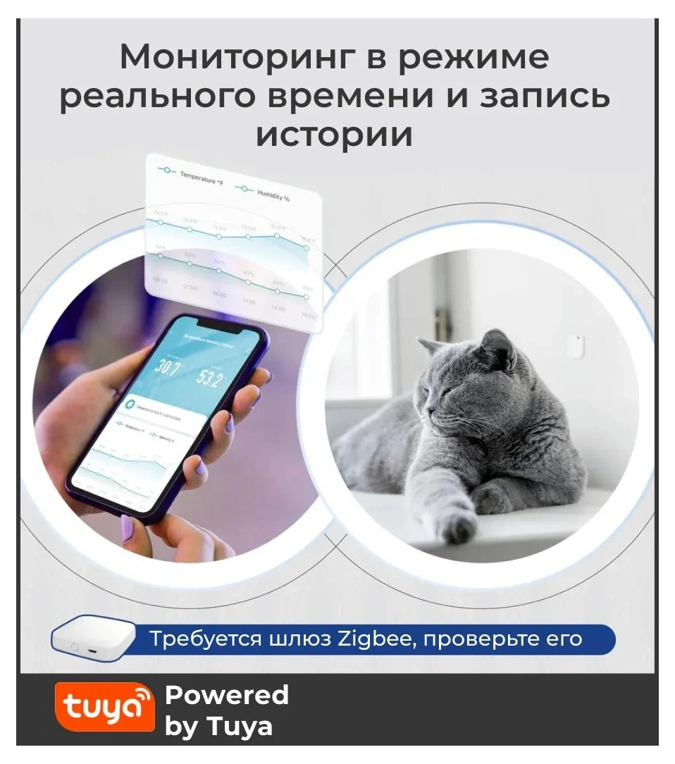 539146240