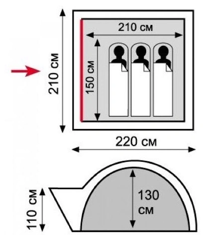 239125529