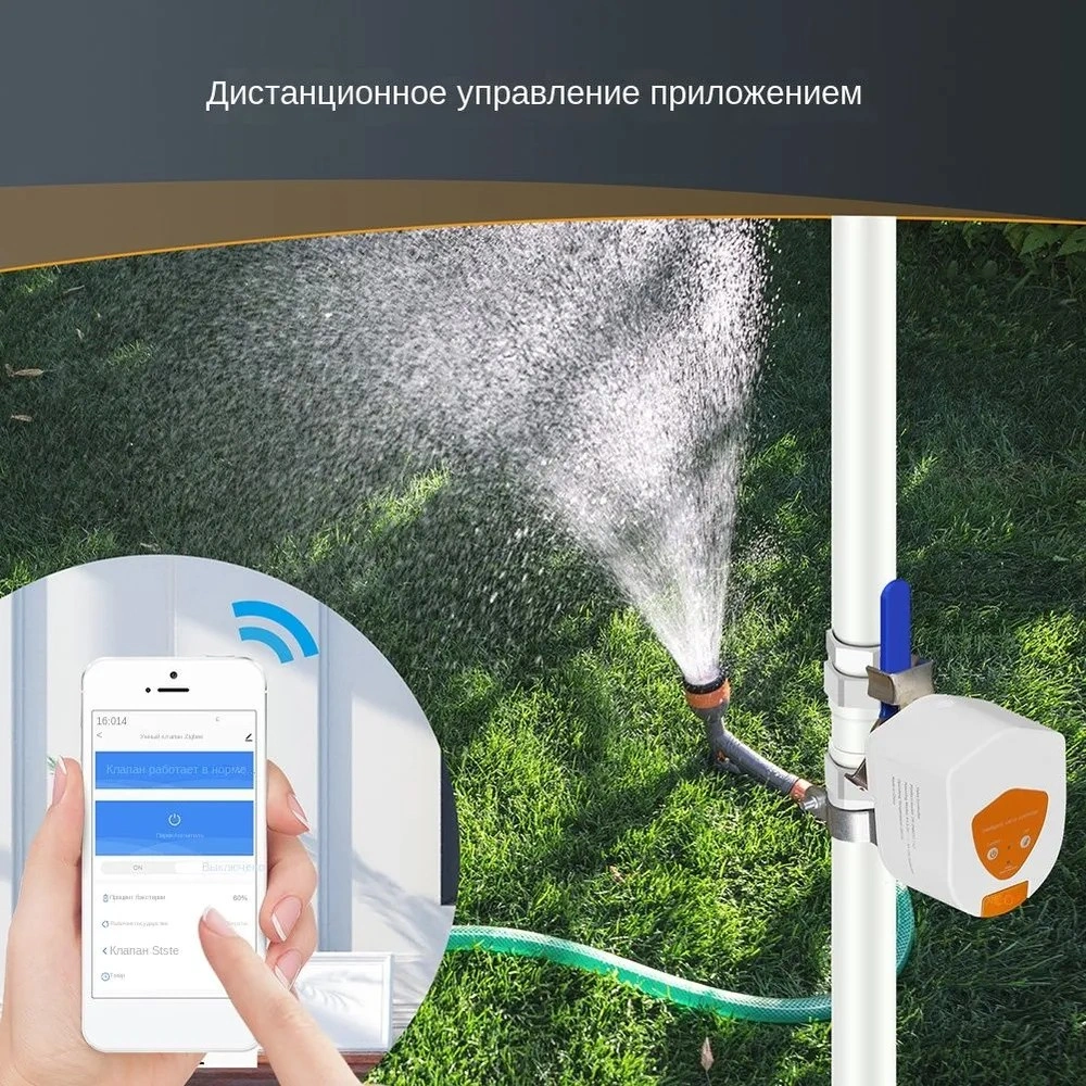 539146294